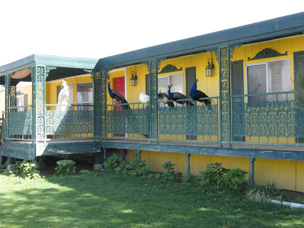 Shady Lady Bed And Breakfast Scottys Junction Kültér fotó